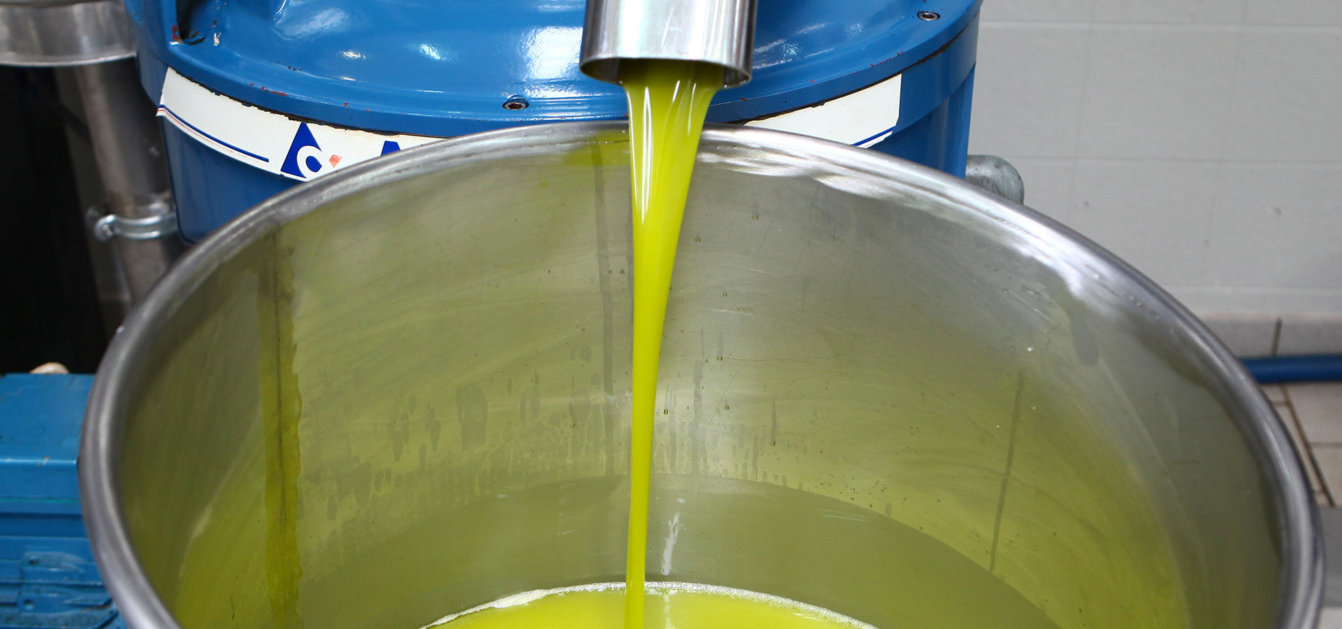 Come nasce il miglior olio extravergine?