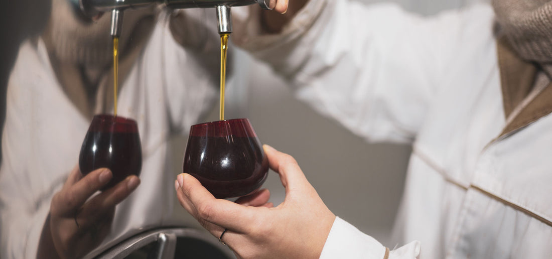 Come diventare degustatori d'olio: la guida per aspiranti assaggiatori