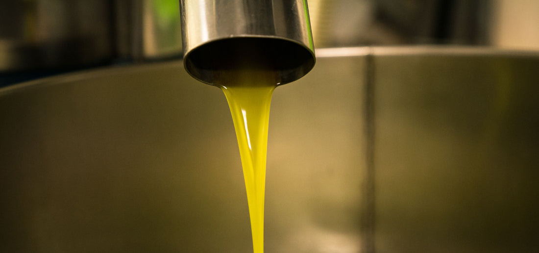 Come funziona un frantoio oleario