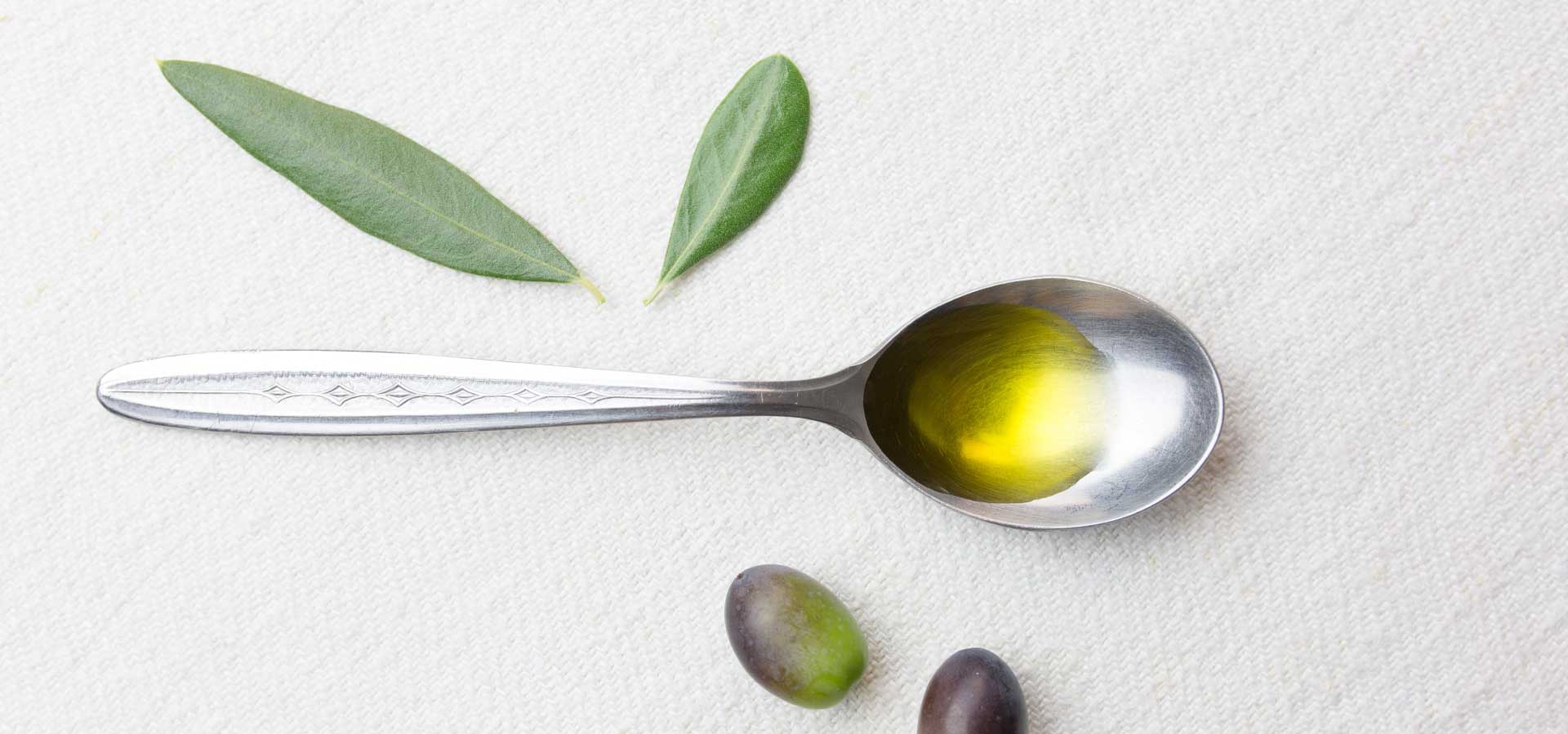 Olio evo e la salute del cervello: gli effetti positivi sui processi cognitivi