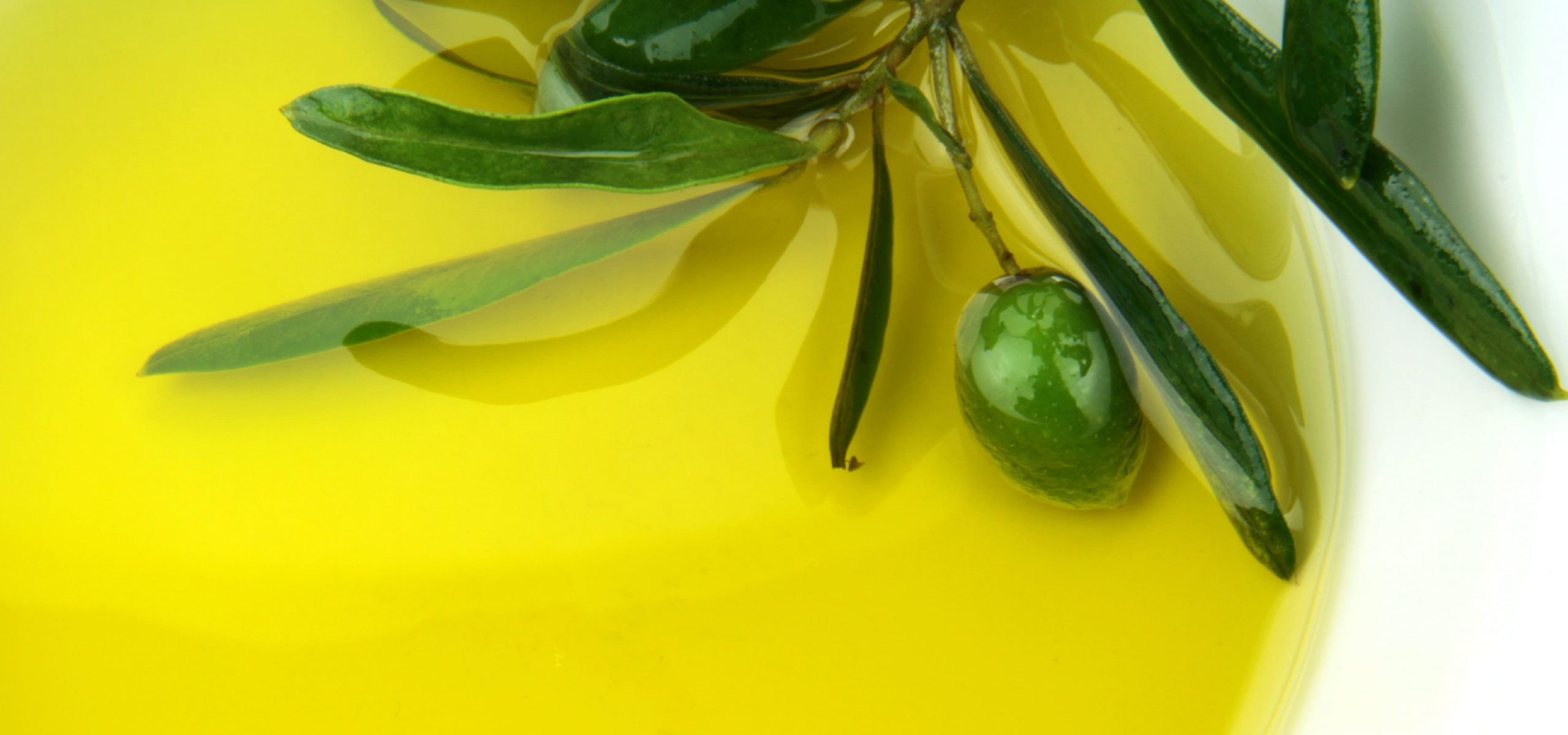 Storia dell’olio d’oliva e del processo di frangitura