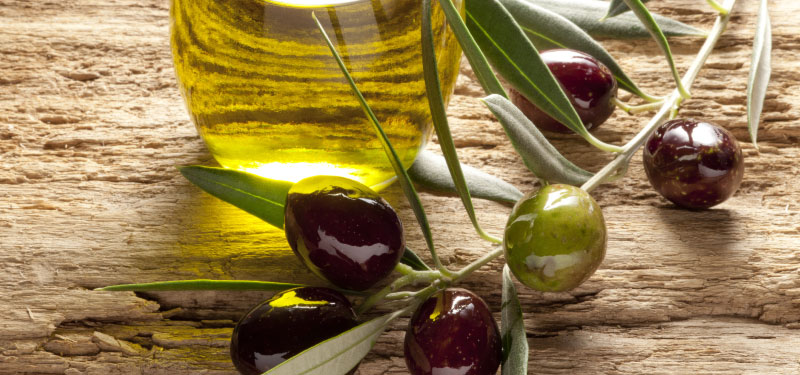 varietà di olive da olio